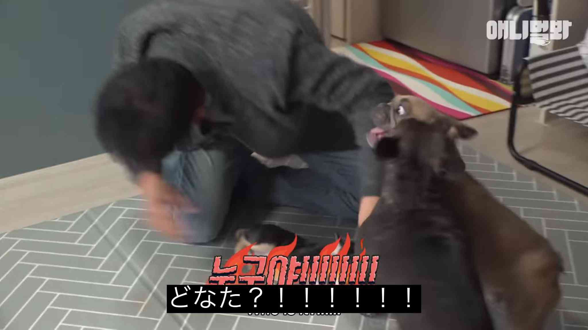 ガルちゃんでコメント代わりに使えそうな字幕テロップ画像part9