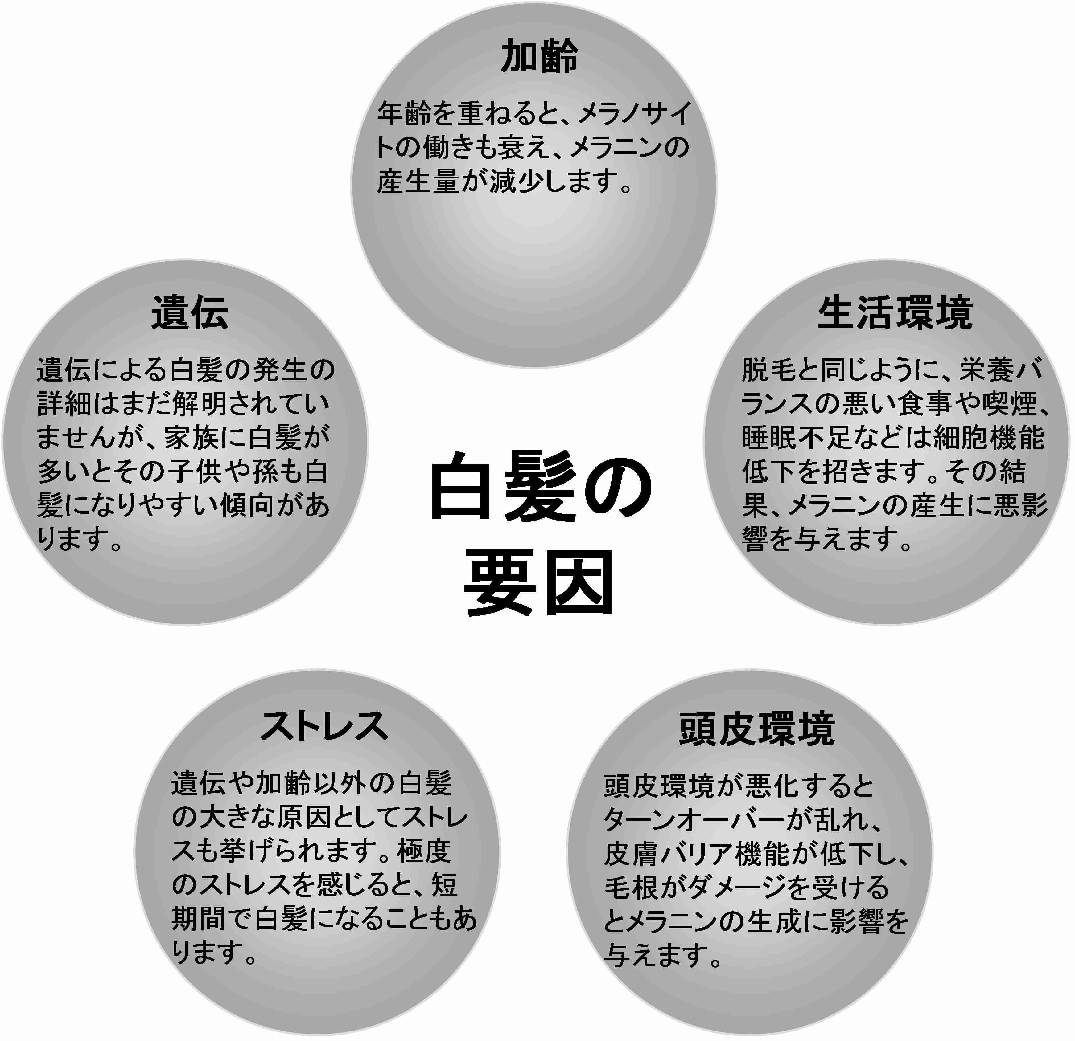 苦労すると白髪が増える?