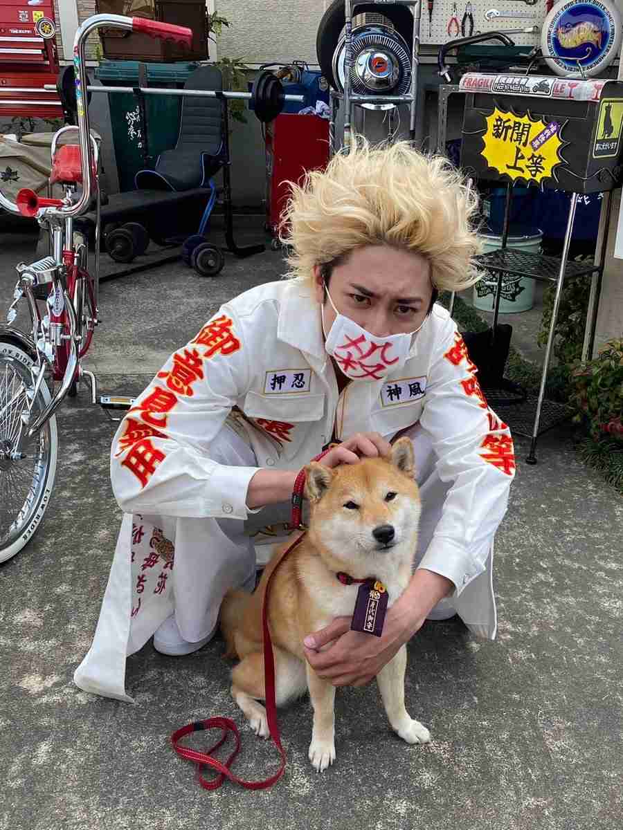 間宮祥太朗『ナンバMG5』視聴率また低下！ ネット上では好評も…「残念」