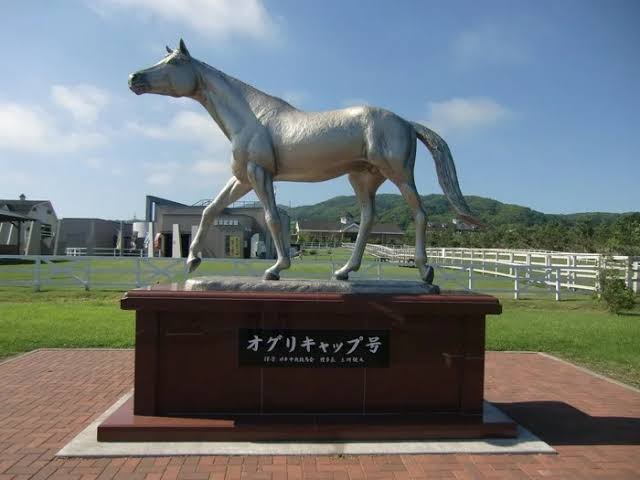 コロナ禍で一人○○デビューした人