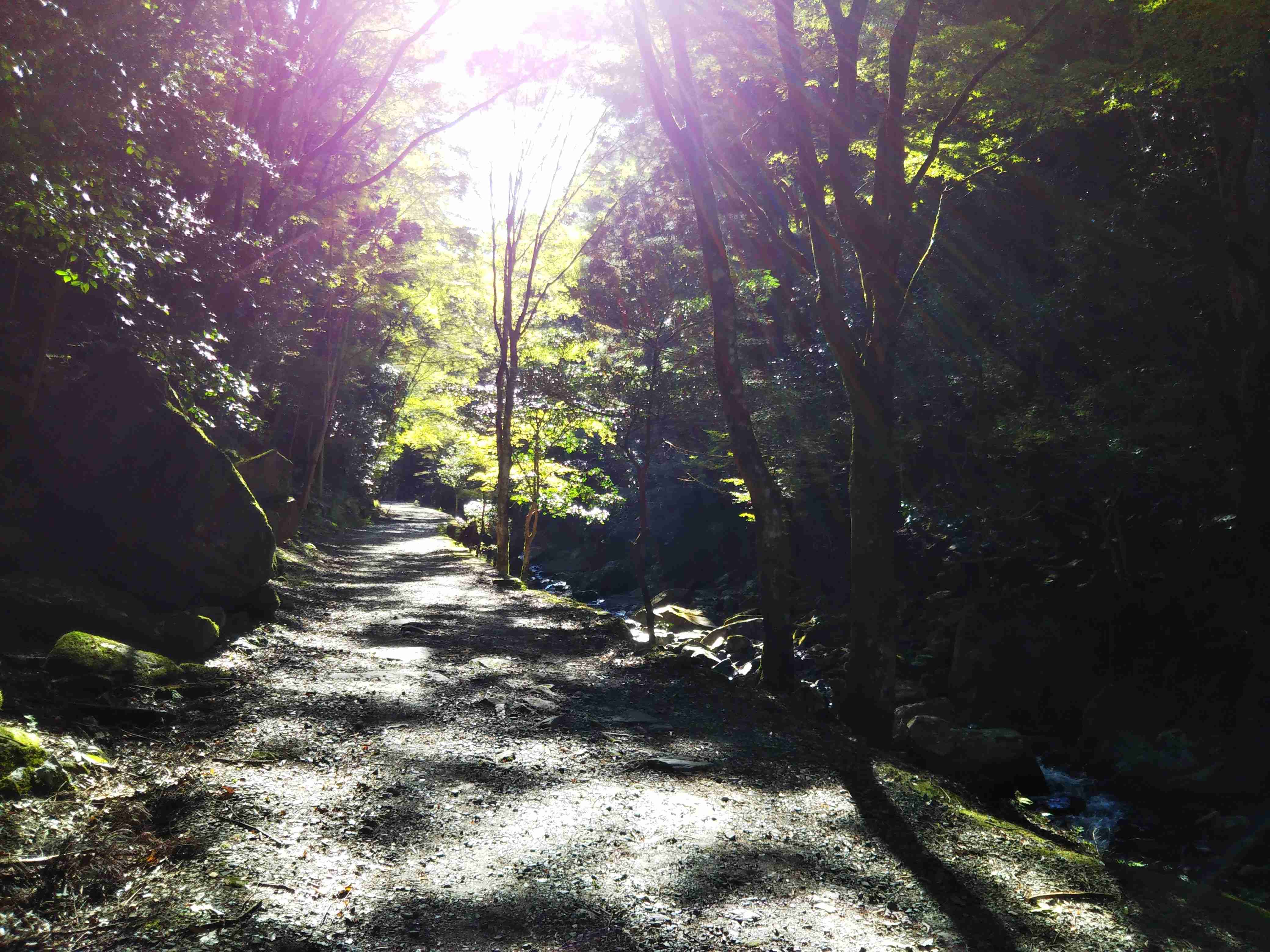 あなたが撮った山の写真見せて！