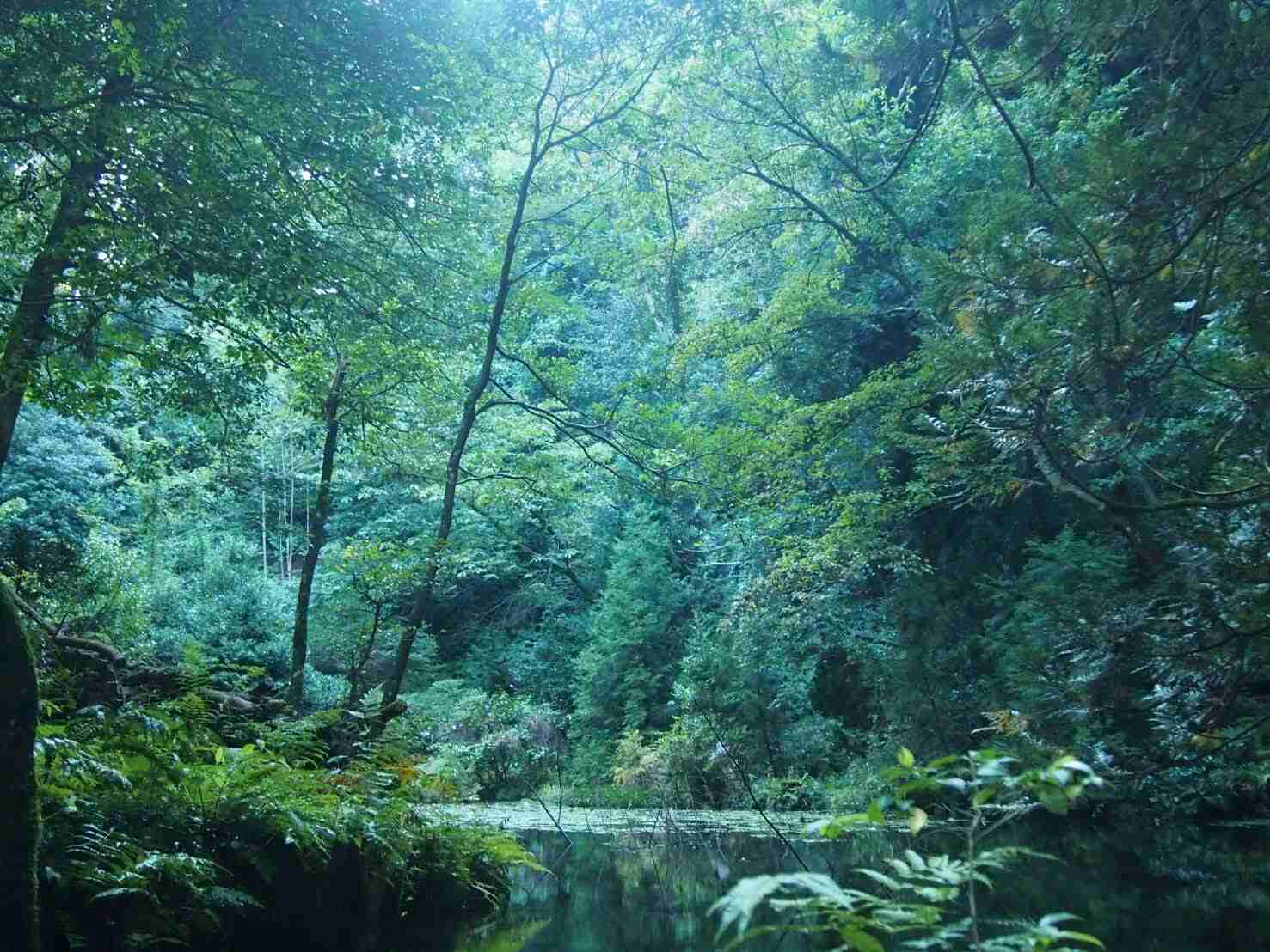 あなたが撮った山の写真見せて！