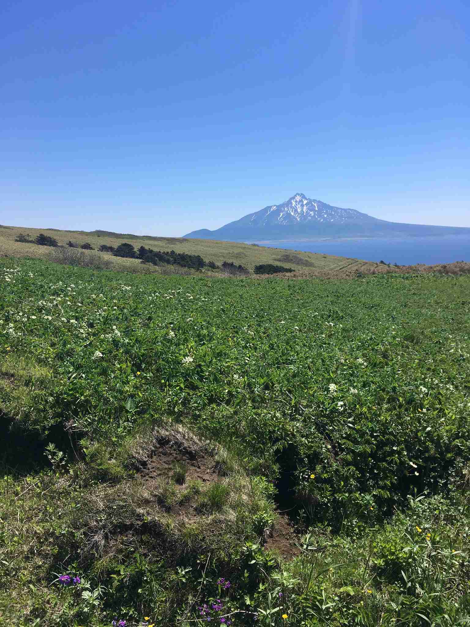 あなたが撮った山の写真見せて！