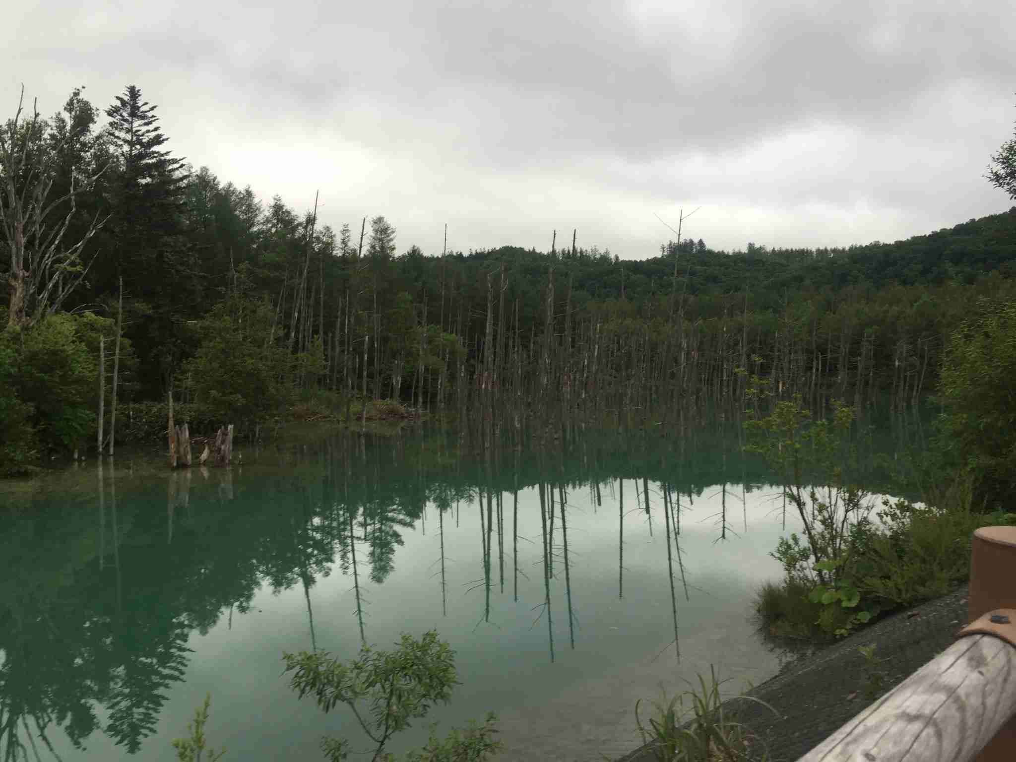 あなたが撮った山の写真見せて！