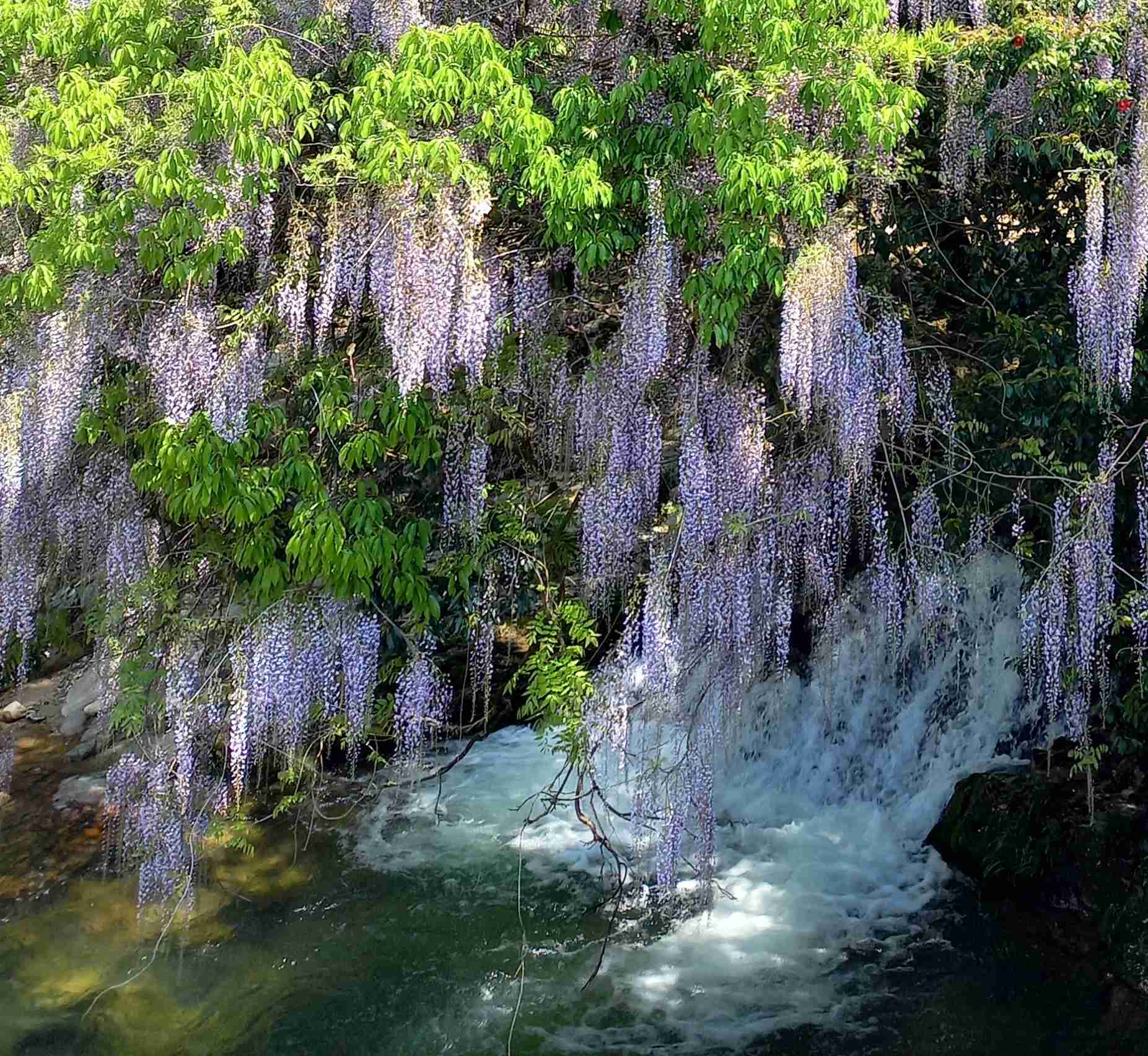 あなたが撮った山の写真見せて！