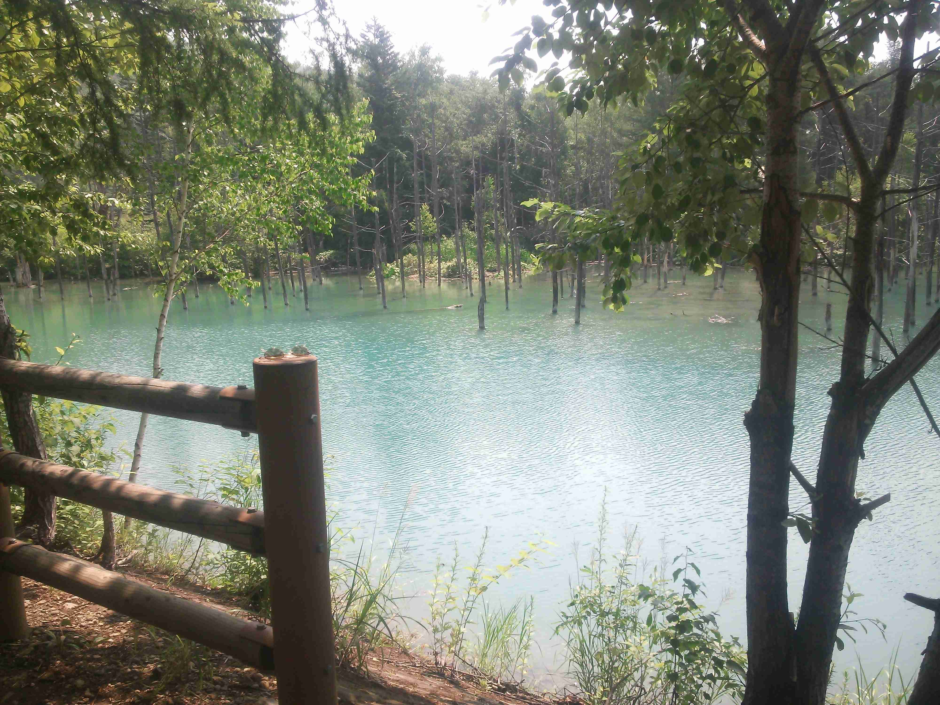 あなたが撮った山の写真見せて！