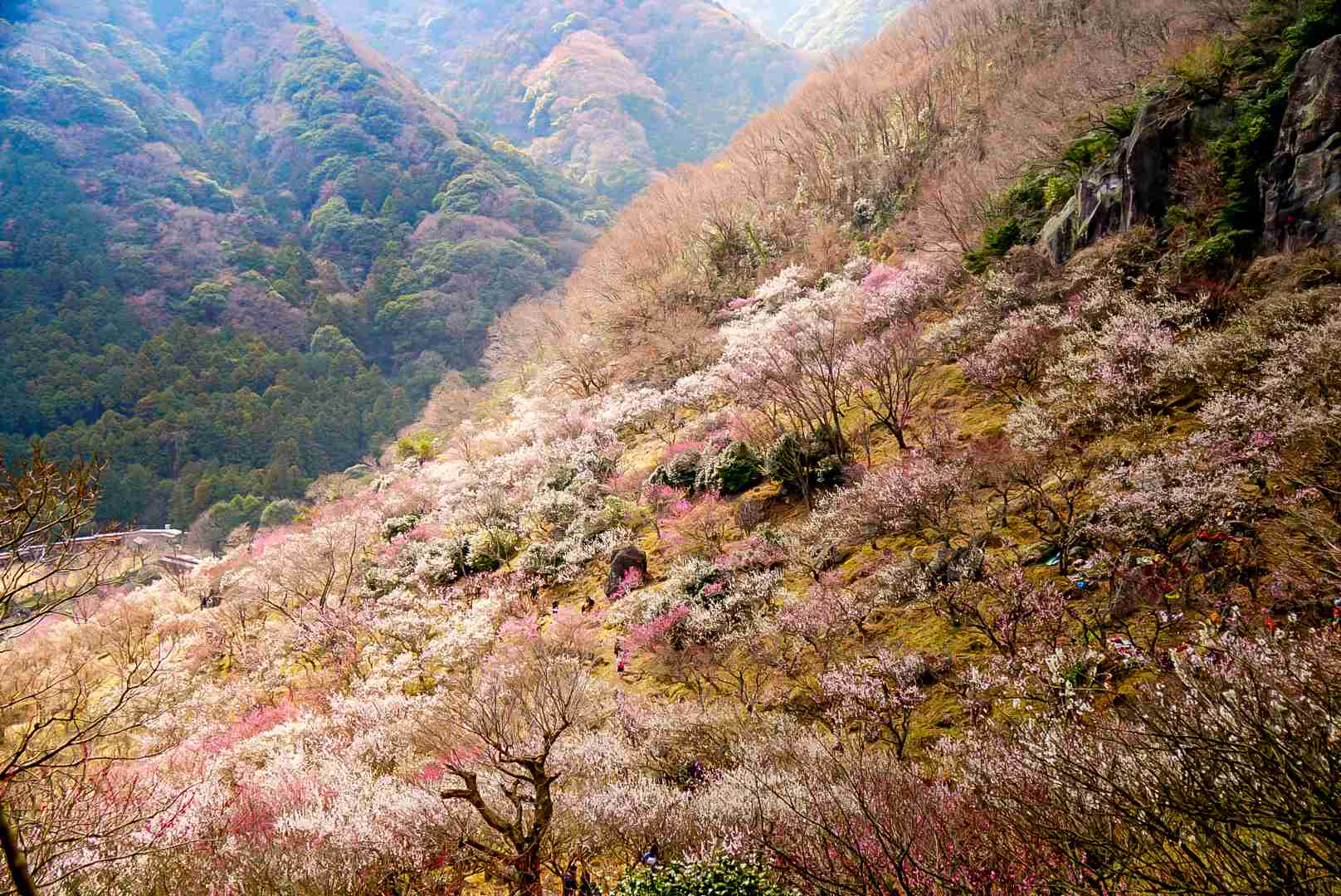 あなたが撮った山の写真見せて！
