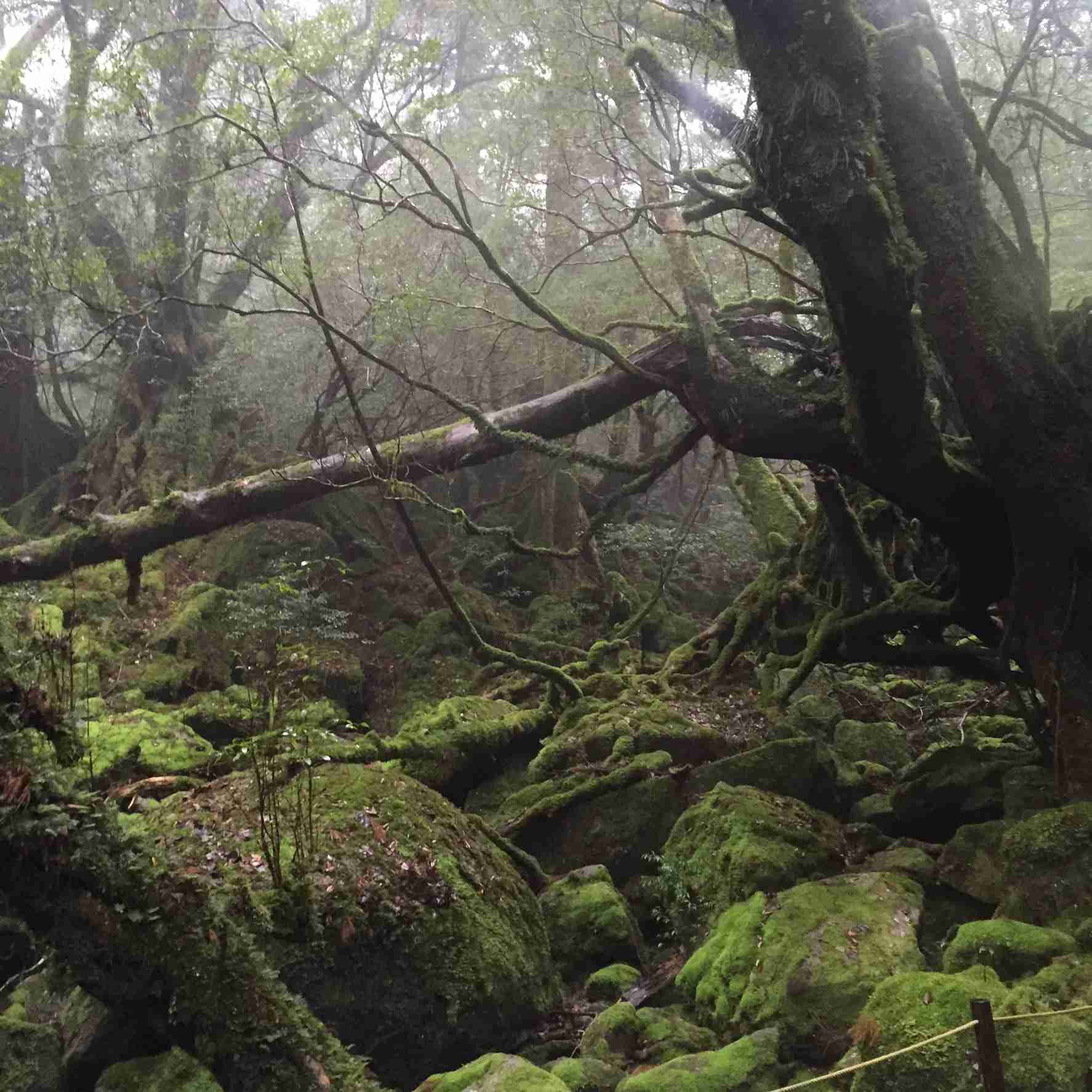 あなたが撮った山の写真見せて！