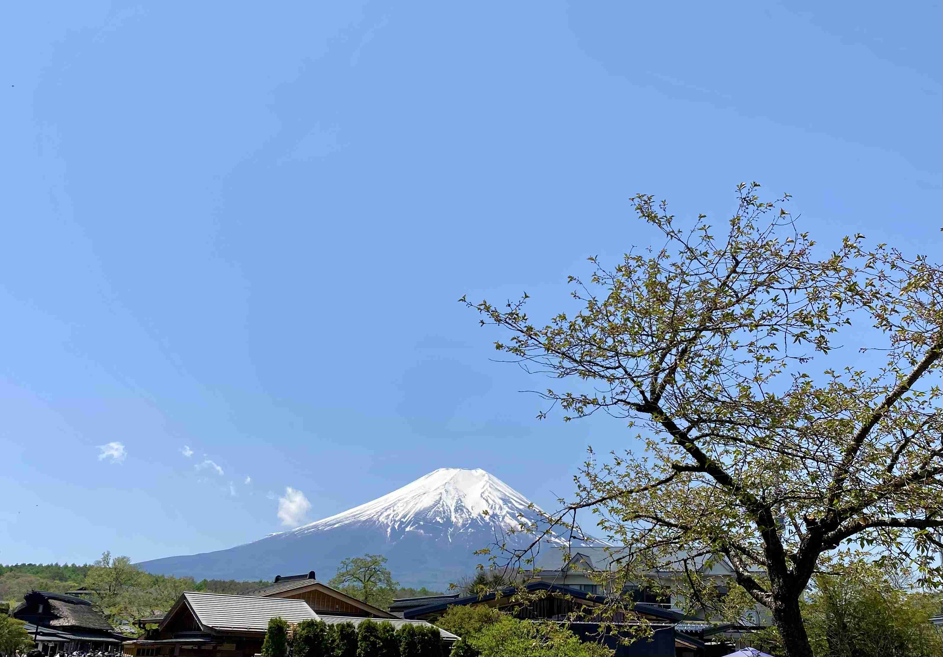 あなたが撮った山の写真見せて！