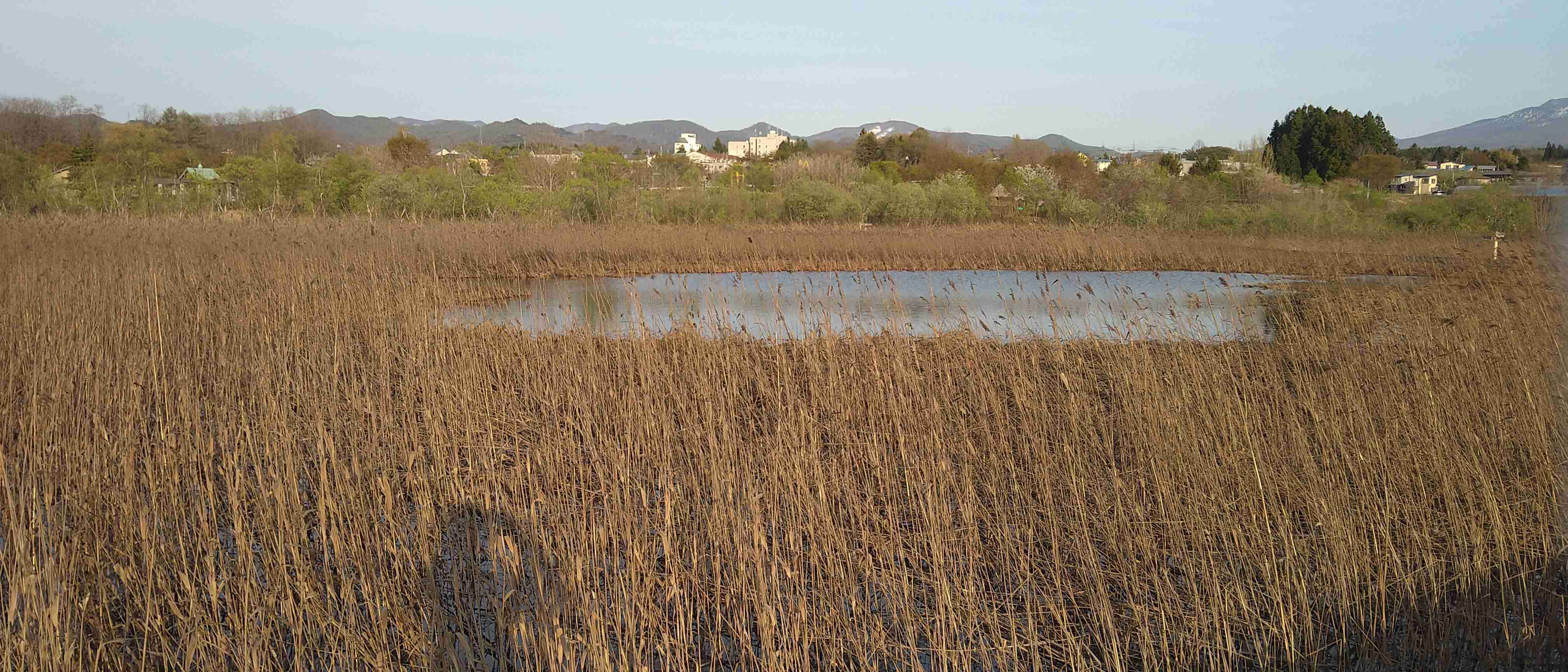 あなたが撮った山の写真見せて！