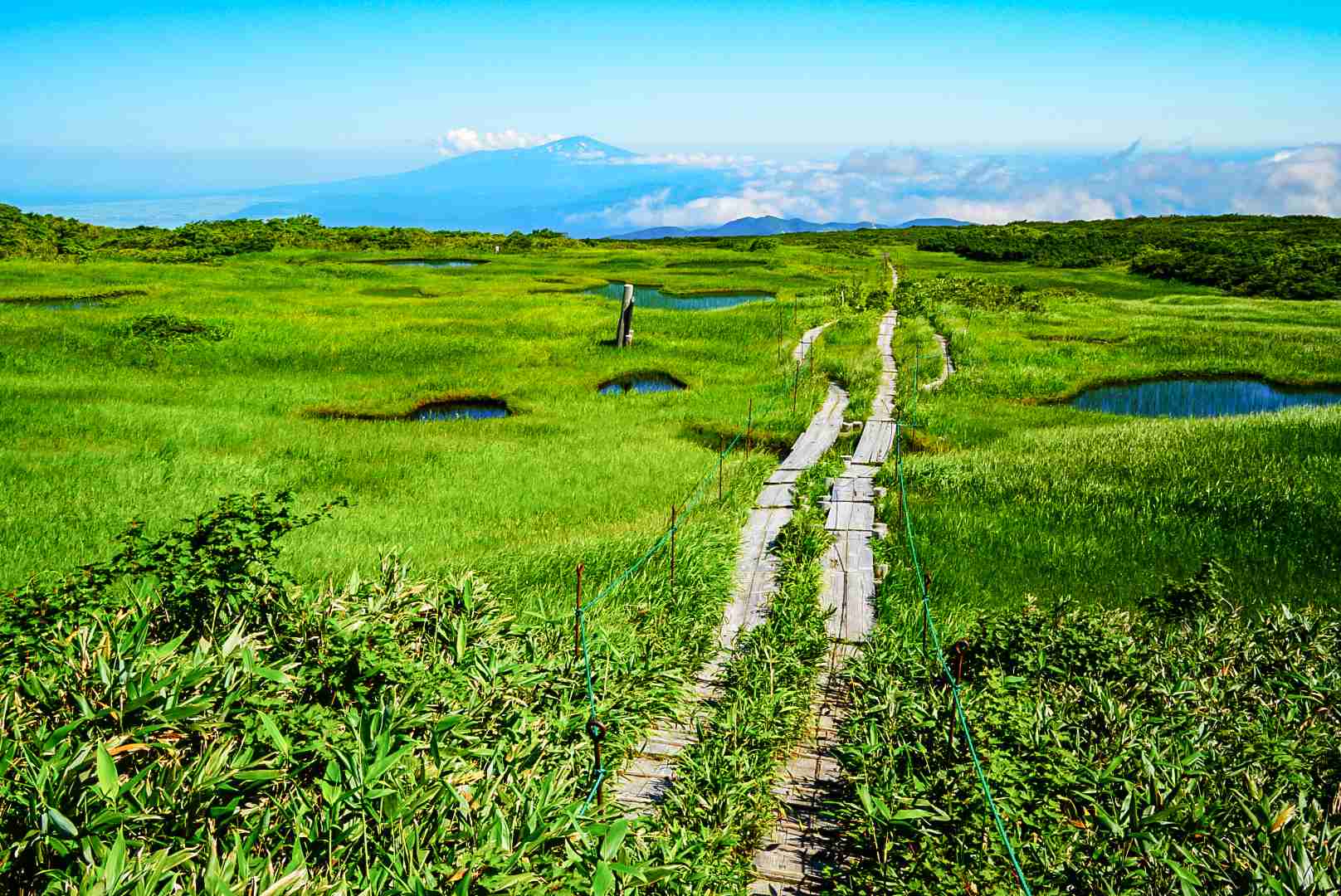 あなたが撮った山の写真見せて！