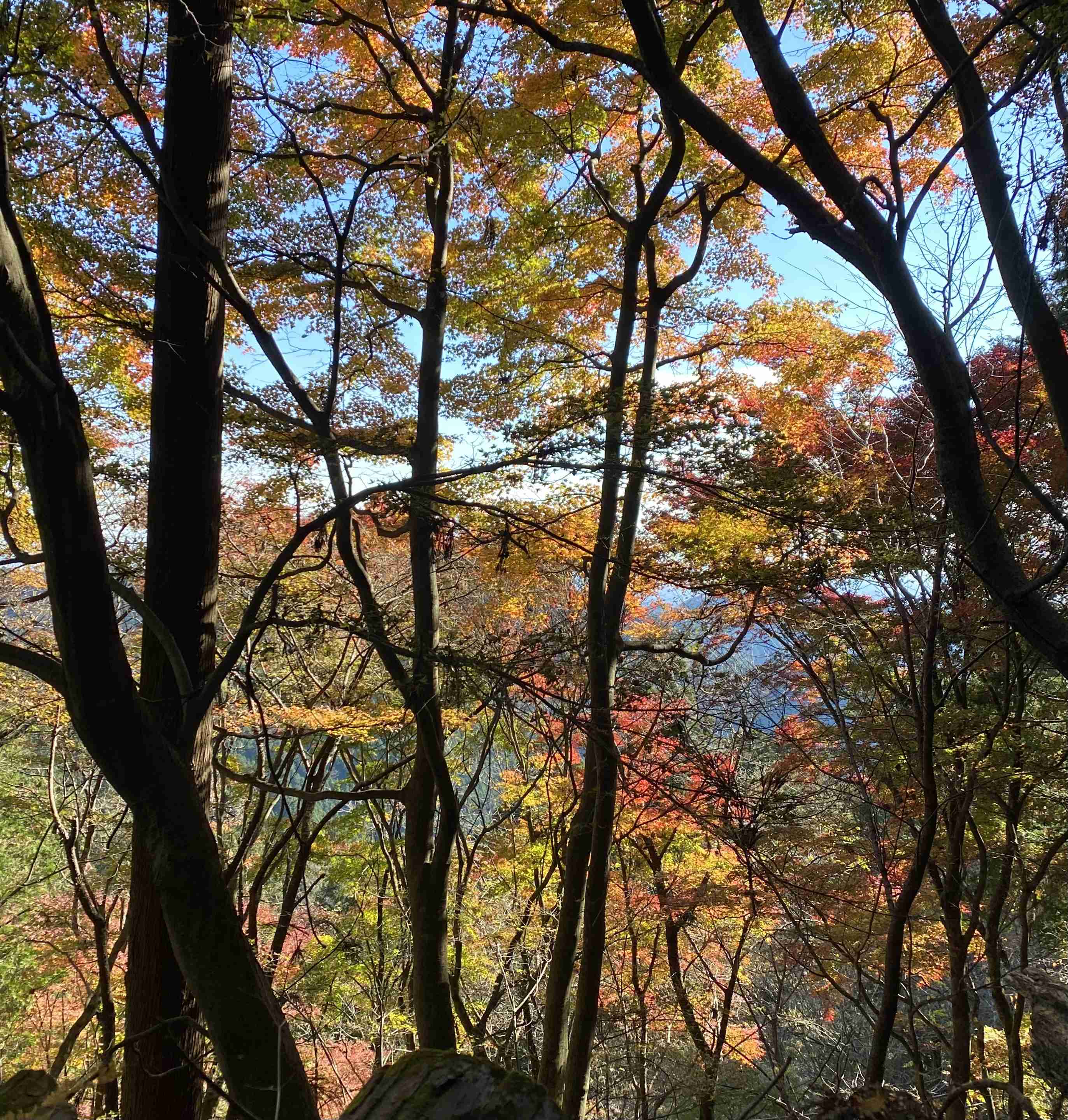 あなたが撮った山の写真見せて！