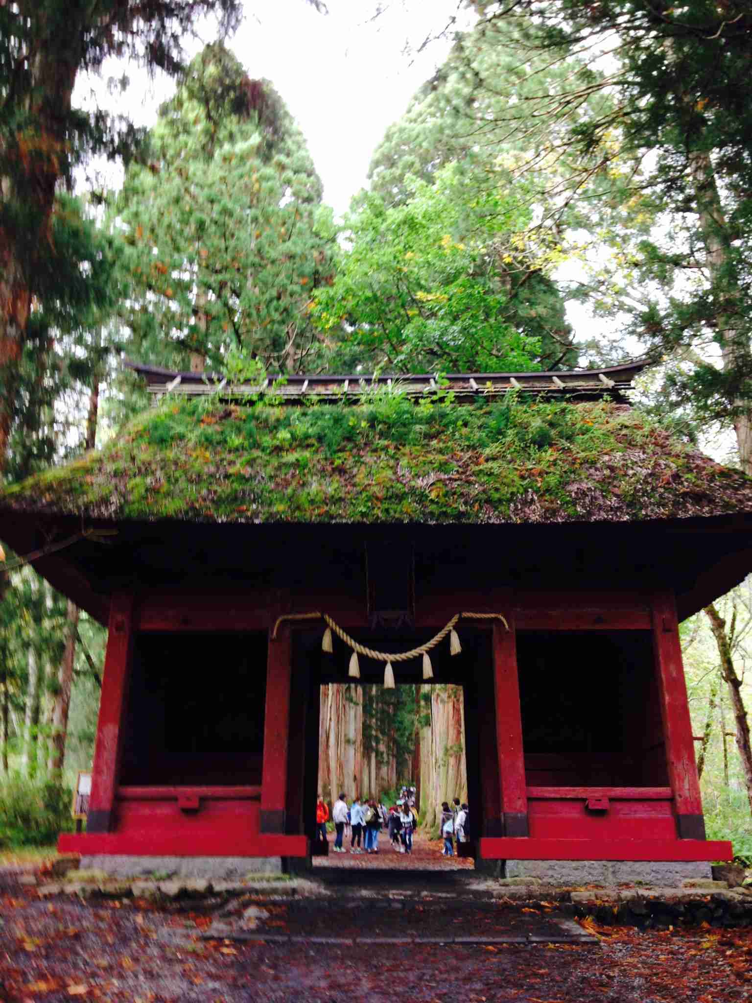 あなたが撮った山の写真見せて！