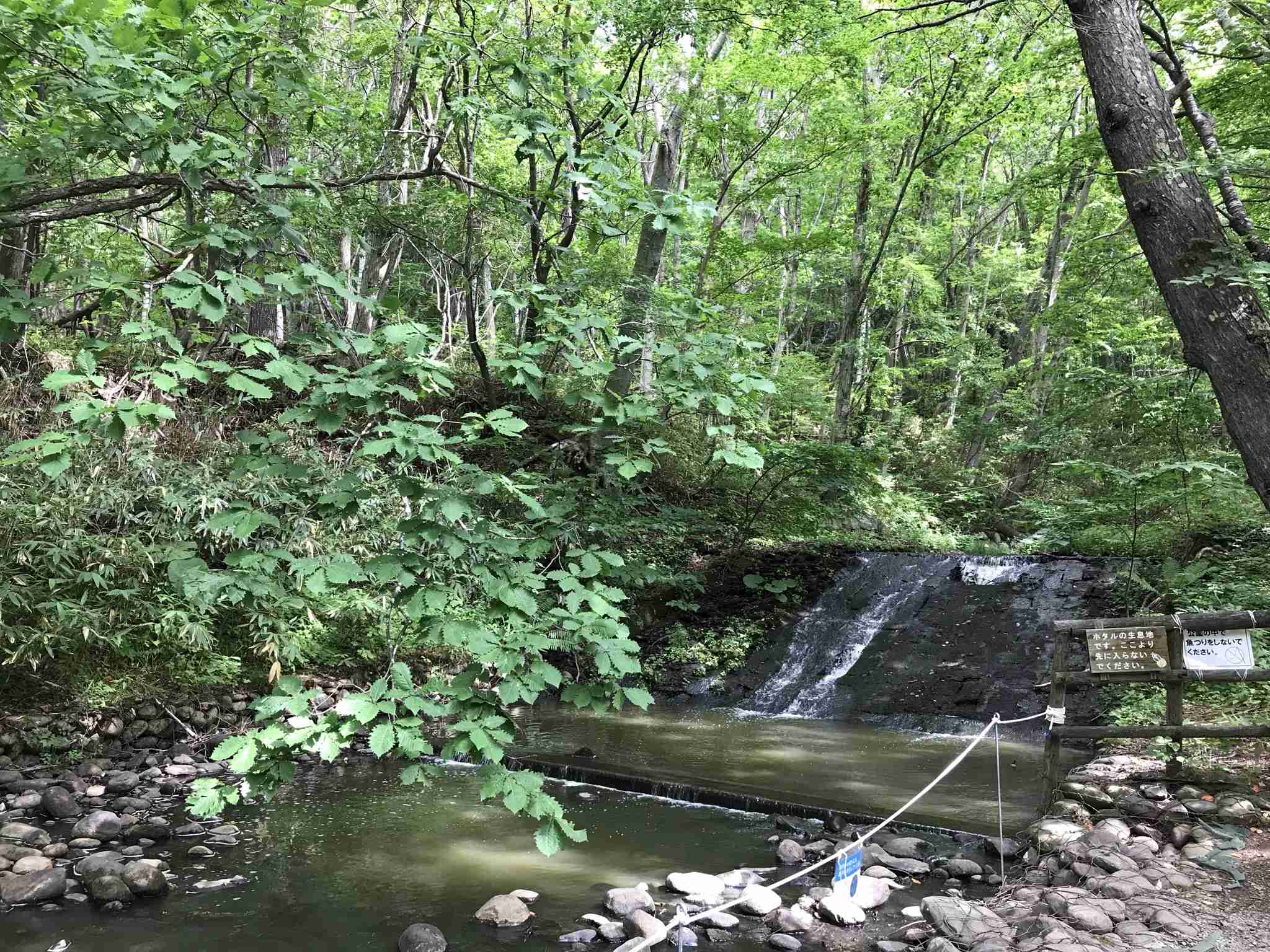 あなたが撮った山の写真見せて！