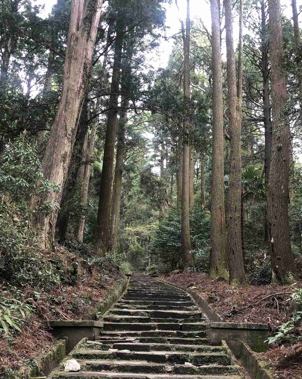 あなたが撮った山の写真見せて！