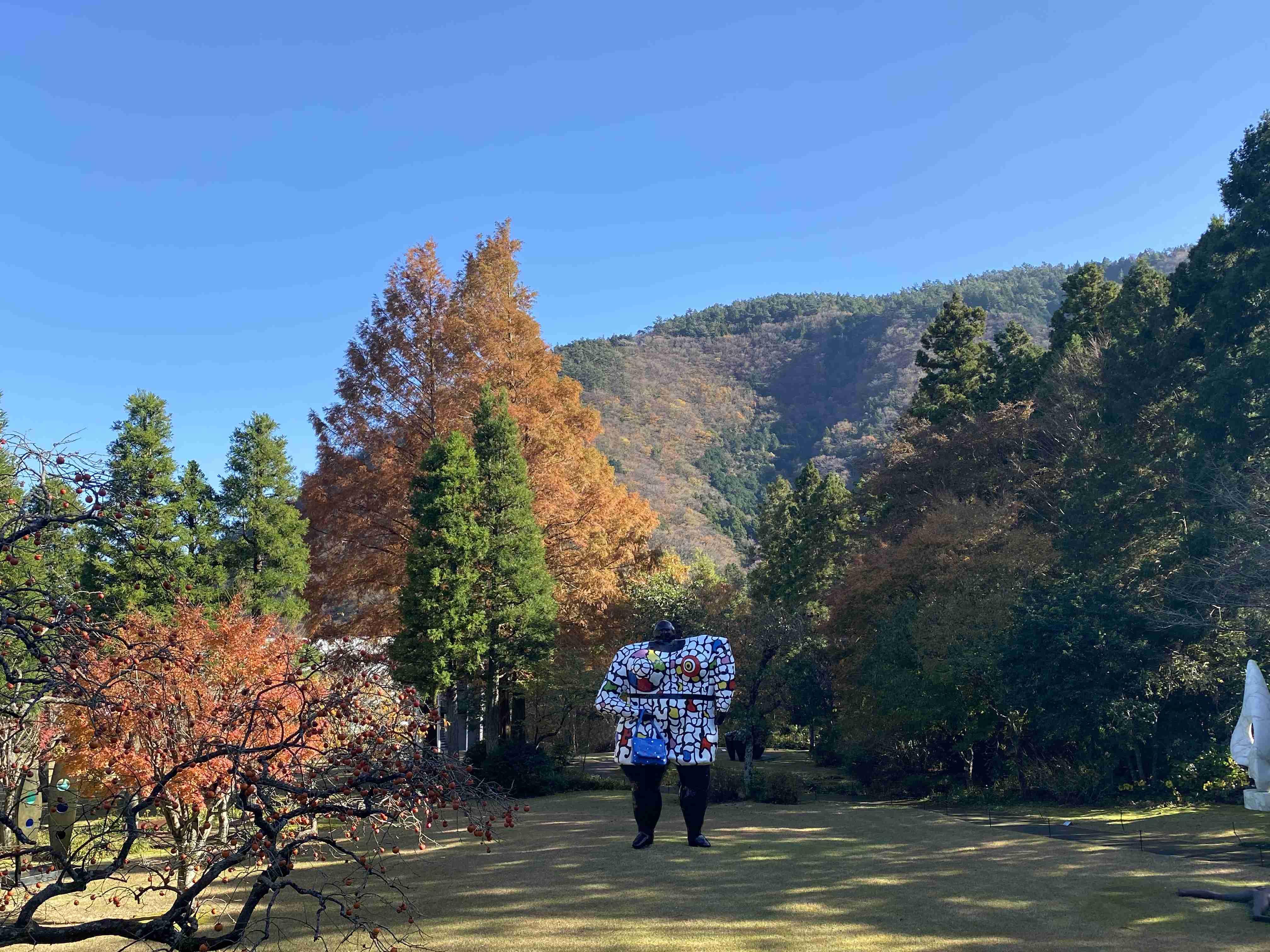 あなたが撮った山の写真見せて！