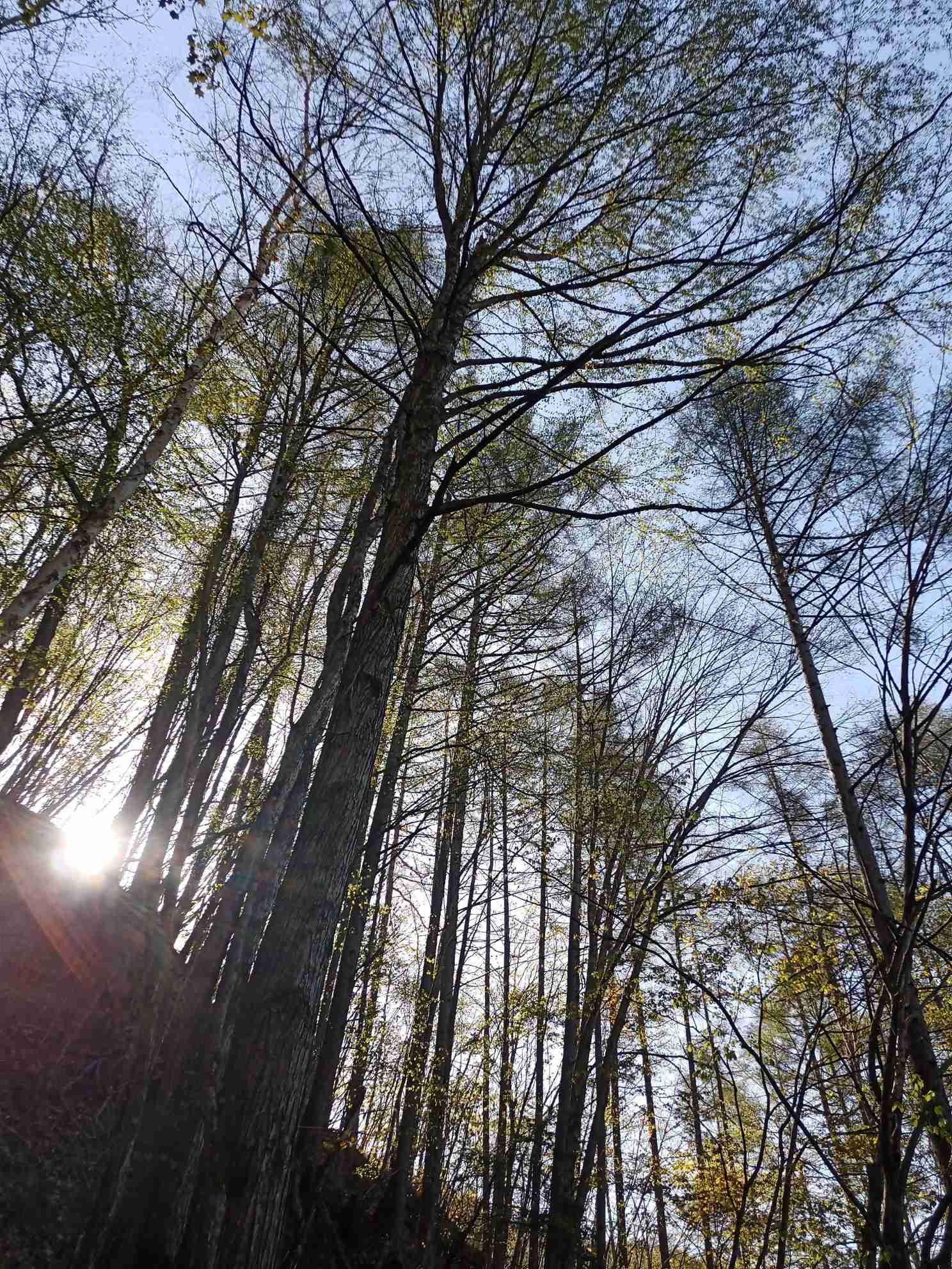 あなたが撮った山の写真見せて！