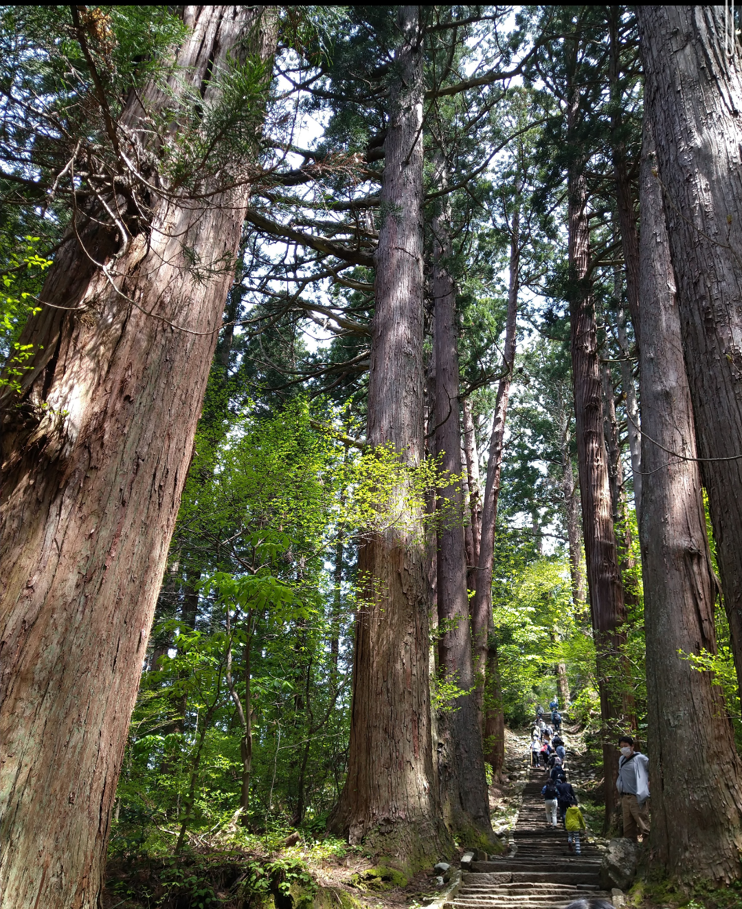 あなたが撮った山の写真見せて！