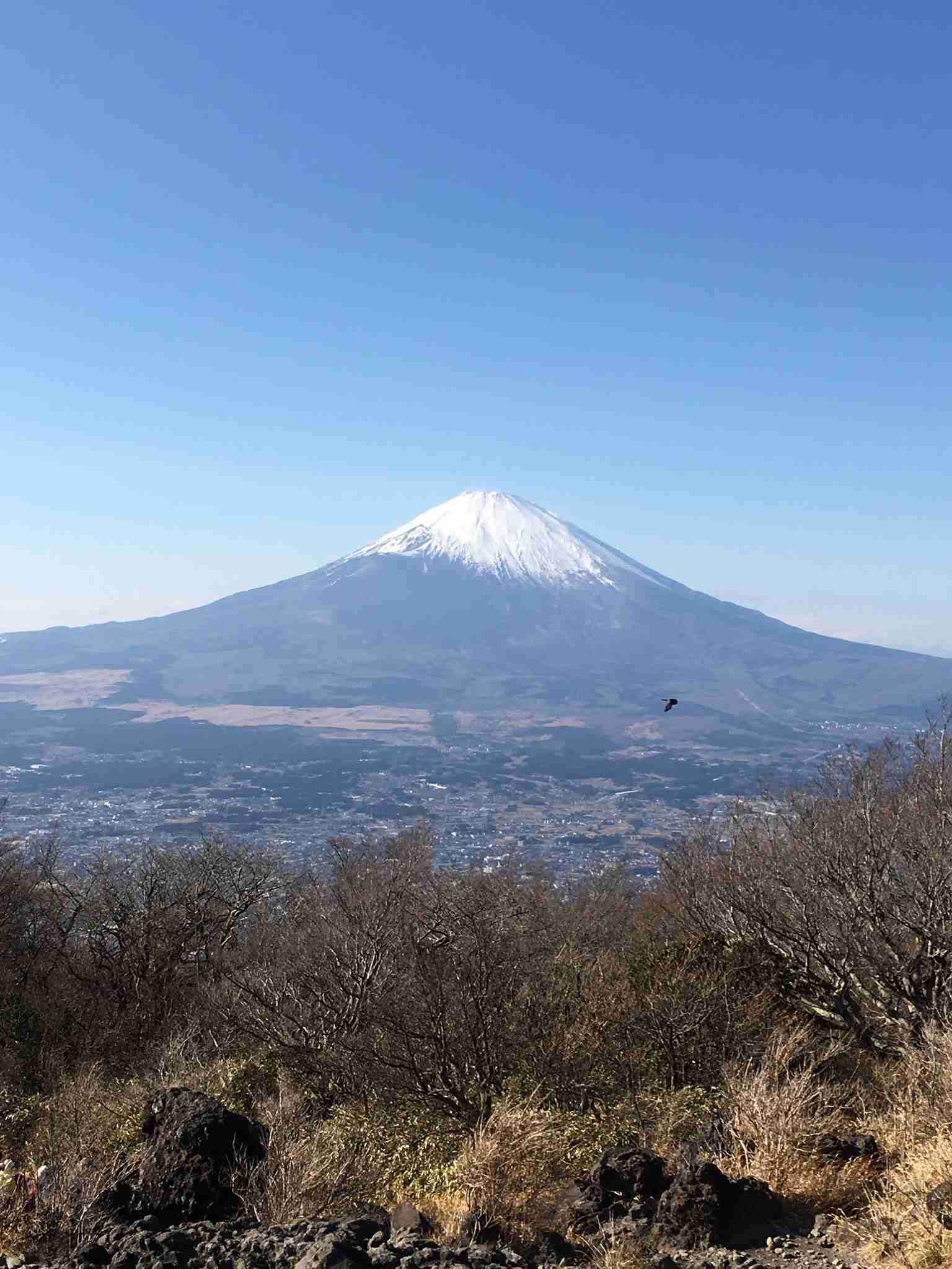 あなたが撮った山の写真見せて！
