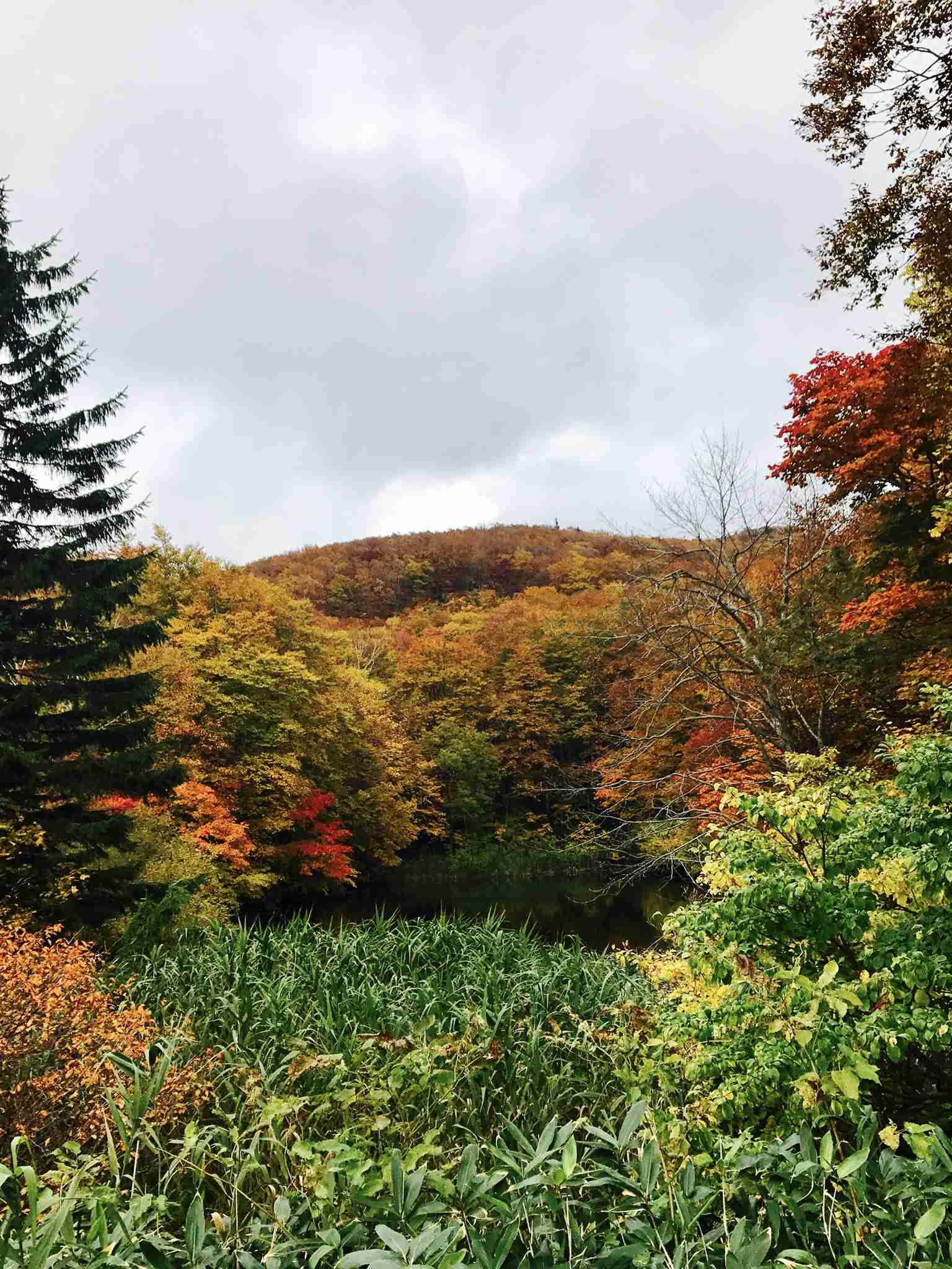 あなたが撮った山の写真見せて！