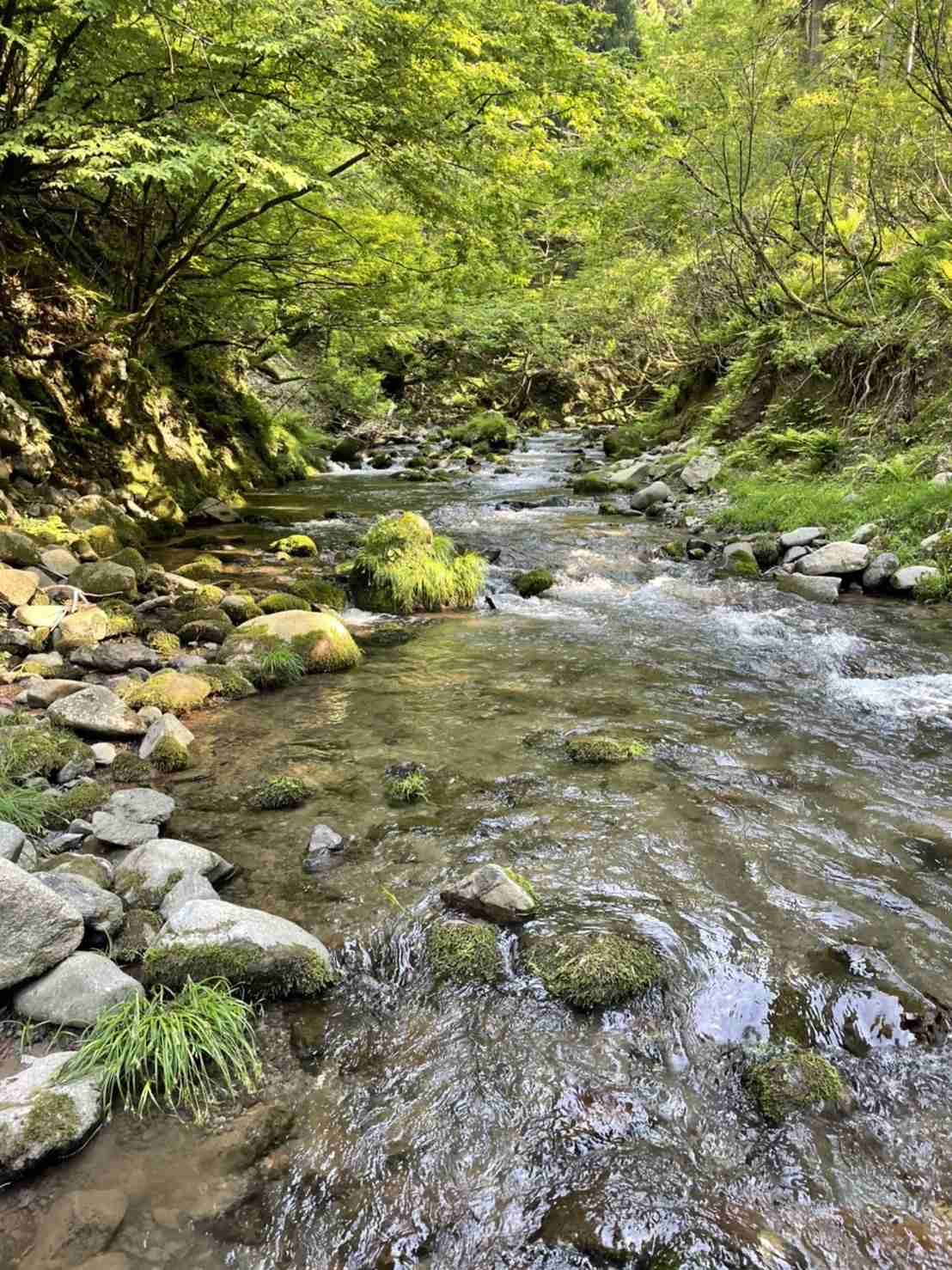 あなたが撮った山の写真見せて！