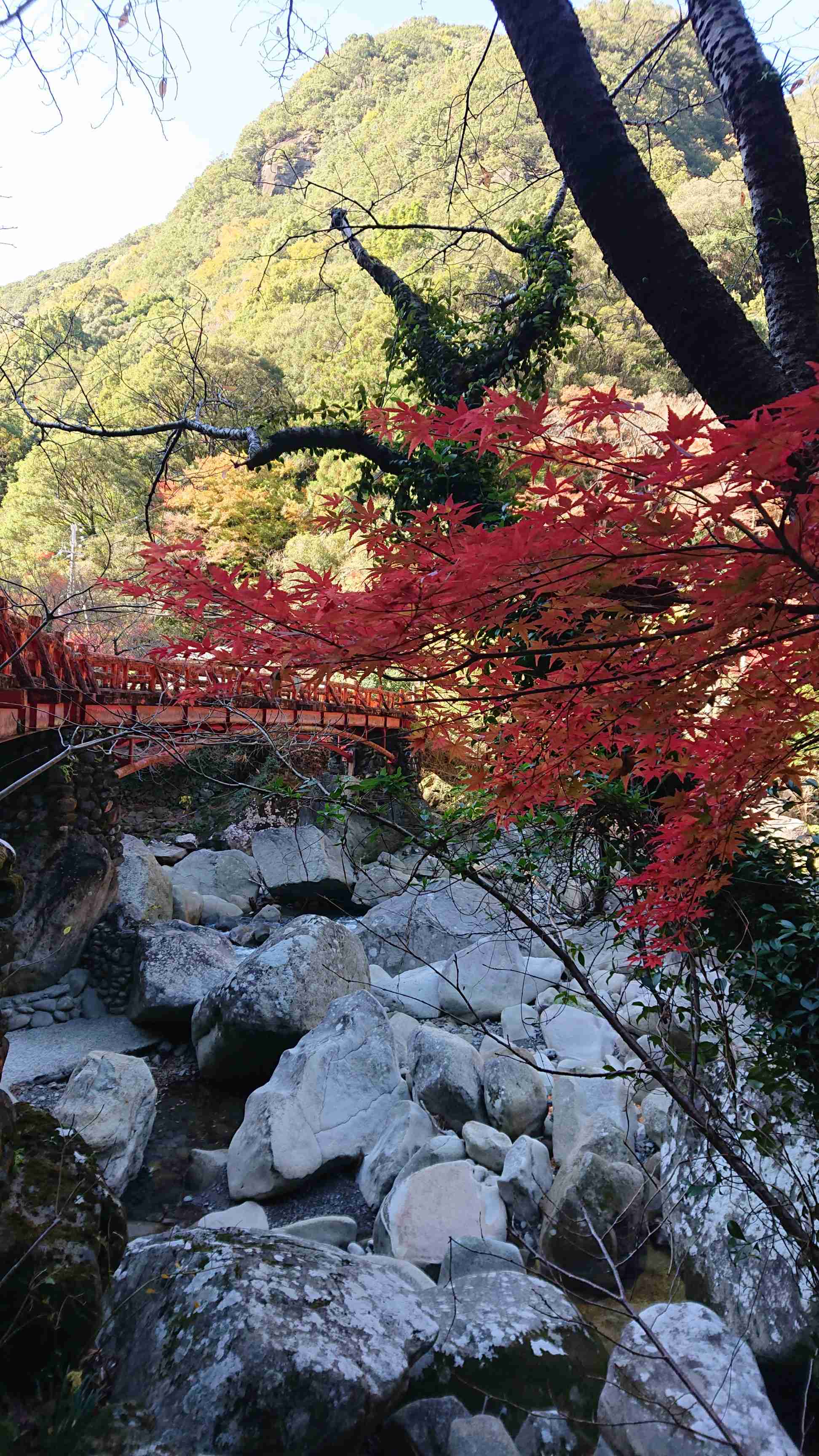 あなたが撮った山の写真見せて！