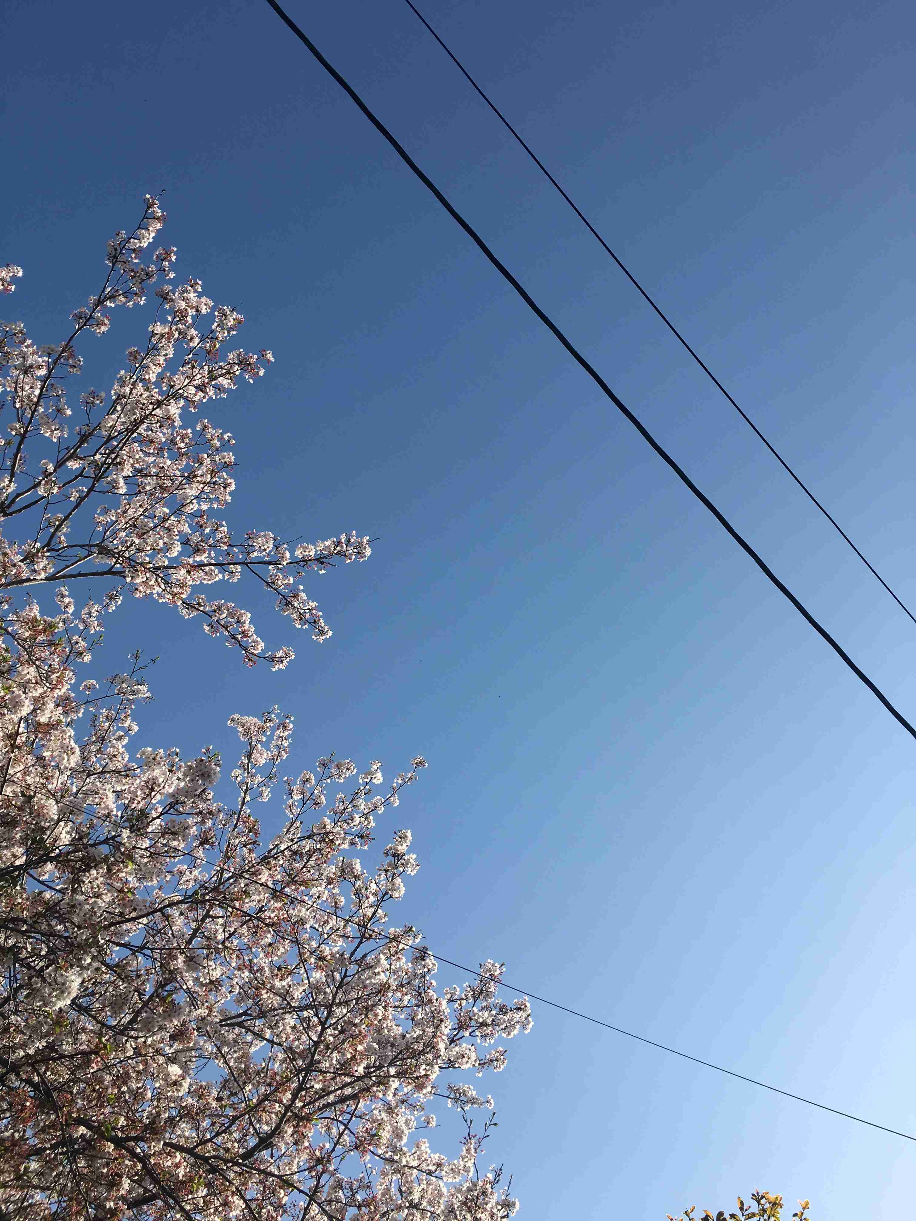 フォルダにある空の写真を見せてください