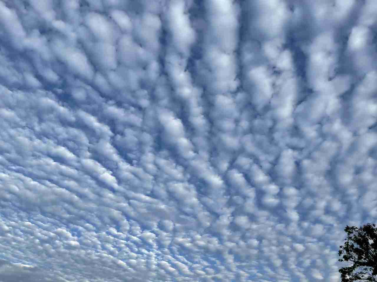 フォルダにある空の写真を見せてください