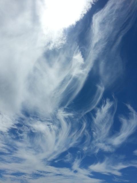 フォルダにある空の写真を見せてください