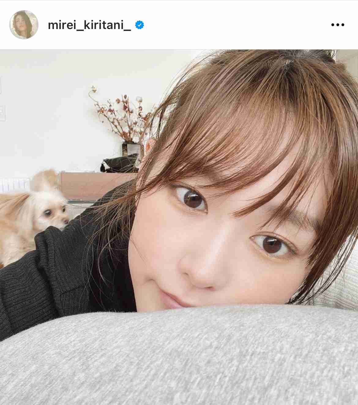 川口春奈「一緒にいると似てくる」…愛犬フレンチブルドッグとの写真に「そっくり」の声多数