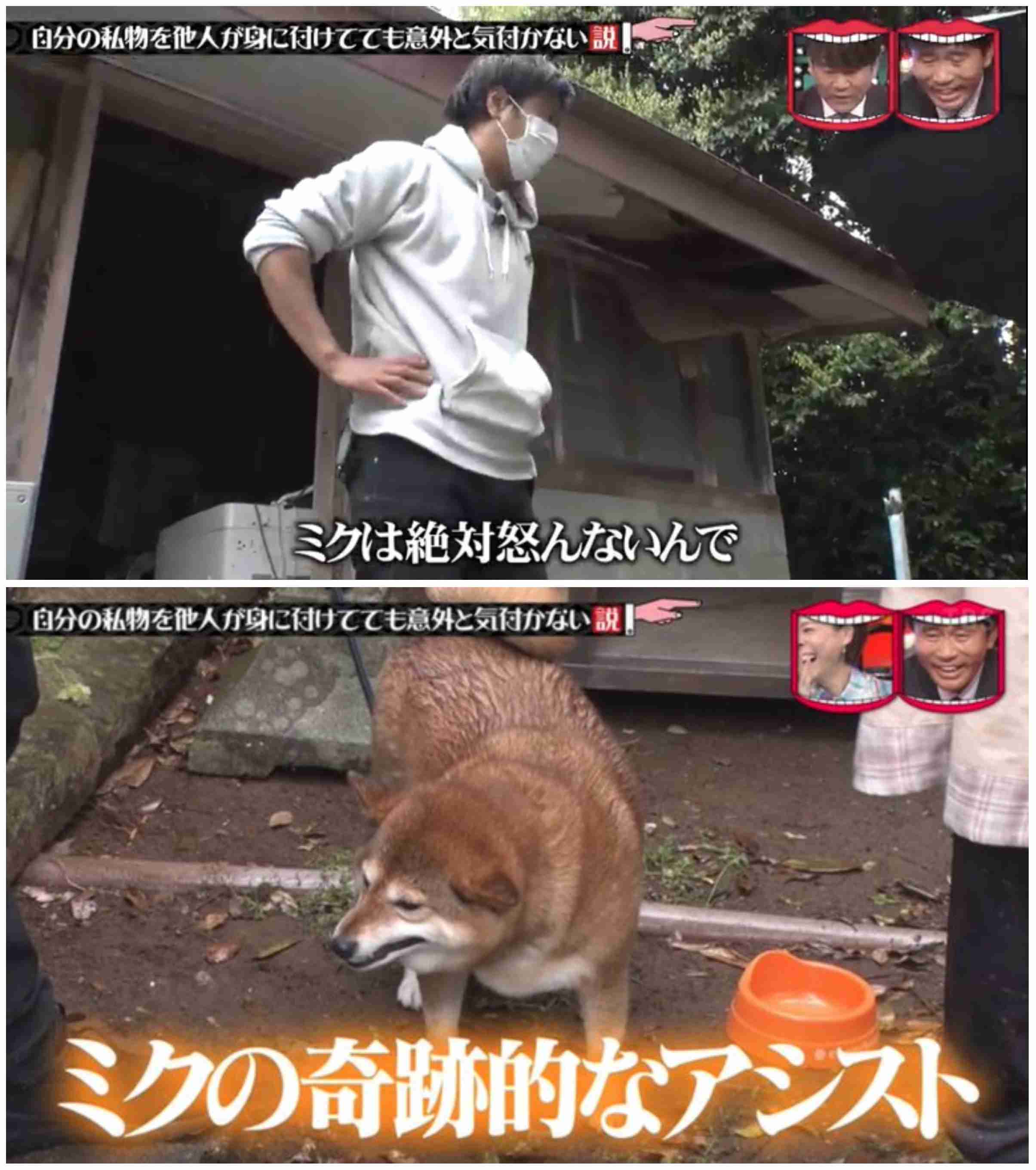 最近テレビを見て大笑いした事