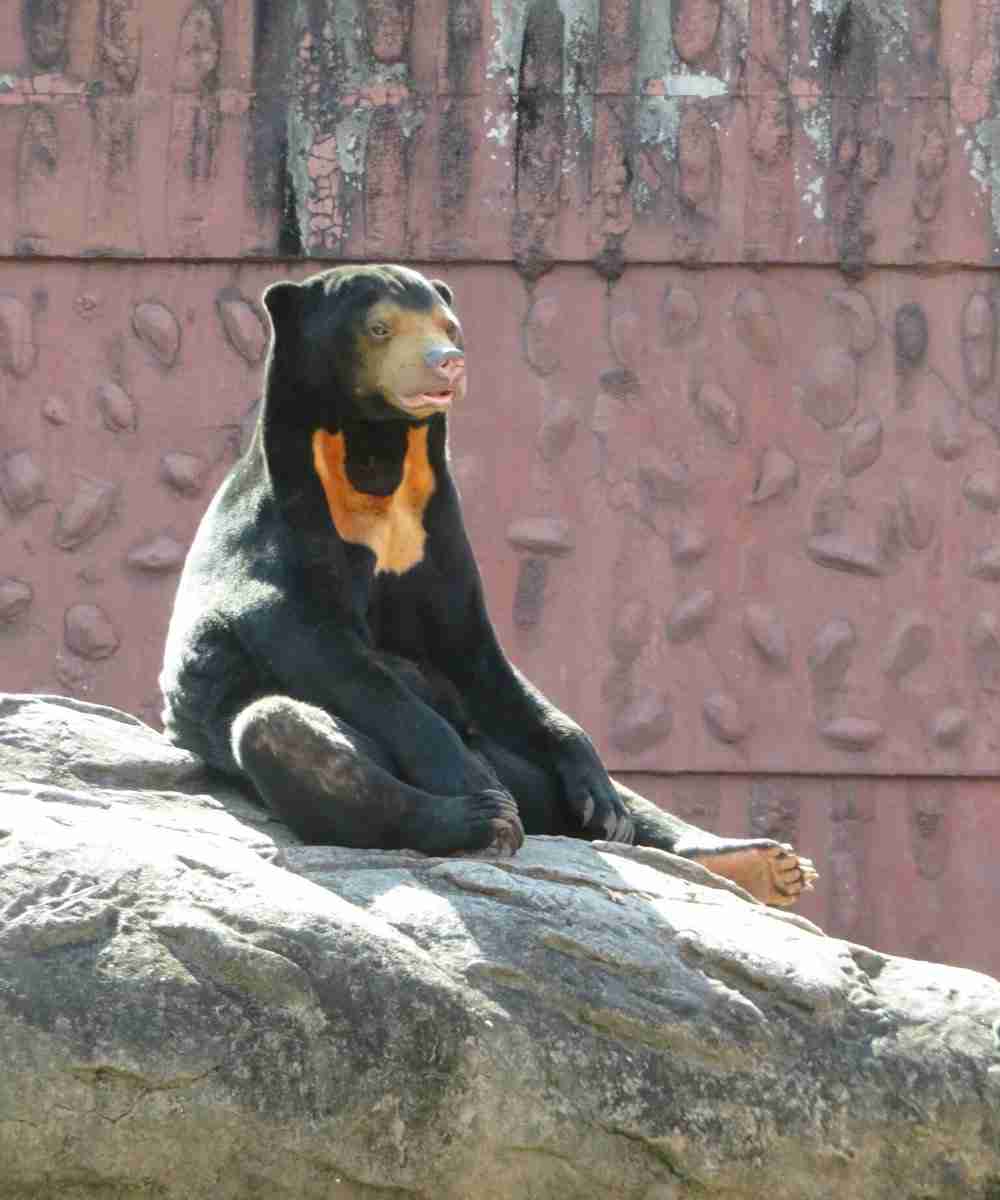 【ぼっち】っぽい画像!