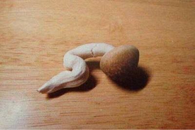 【ぼっち】っぽい画像!