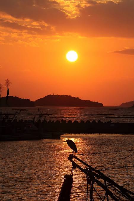 【ぼっち】っぽい画像!