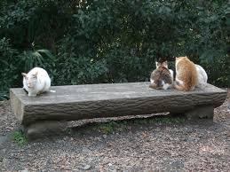 【ぼっち】っぽい画像!