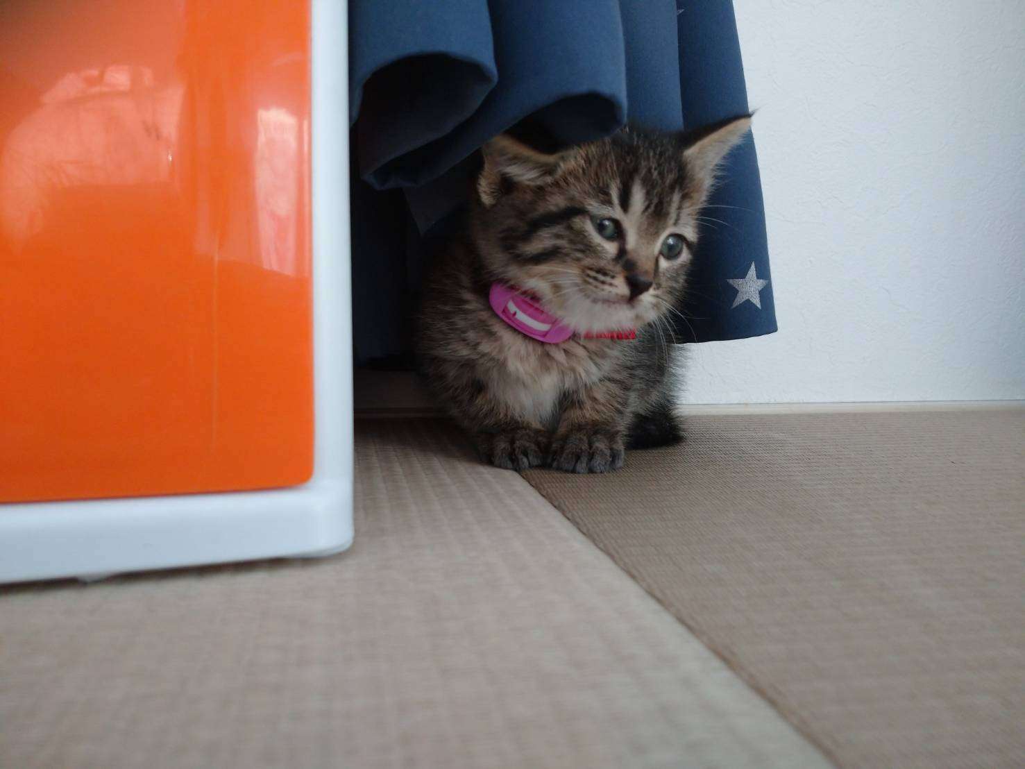 【ぼっち】っぽい画像!