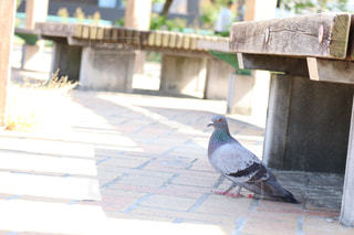 【ぼっち】っぽい画像!