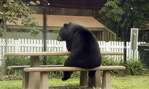 【ぼっち】っぽい画像!