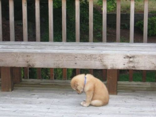 【ぼっち】っぽい画像!