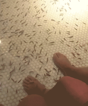 【ぼっち】っぽい画像!