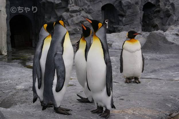 【ぼっち】っぽい画像!