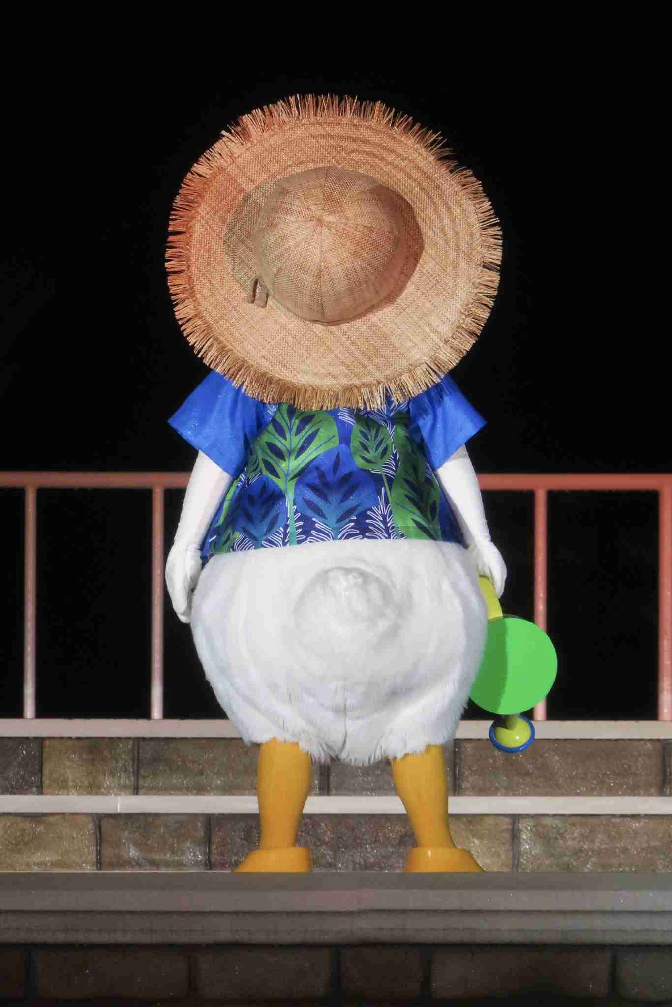 【ぼっち】っぽい画像!