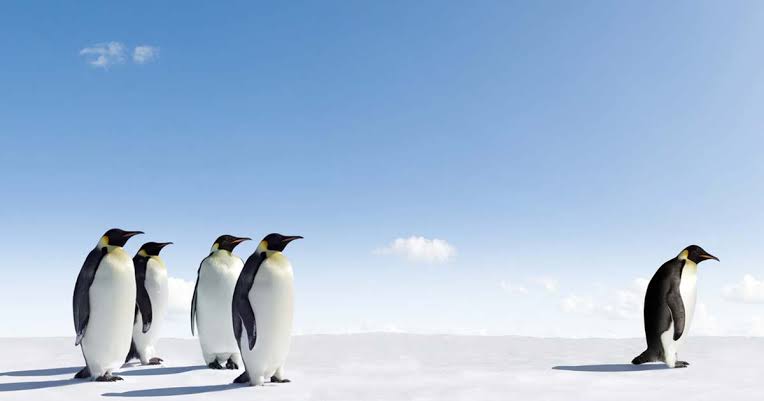 【ぼっち】っぽい画像!