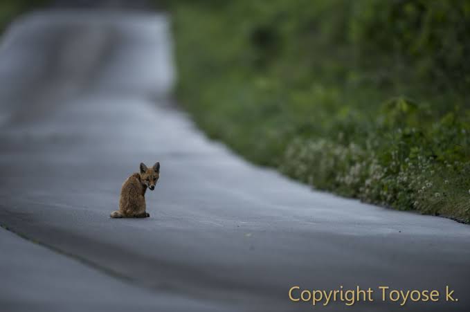 【ぼっち】っぽい画像!