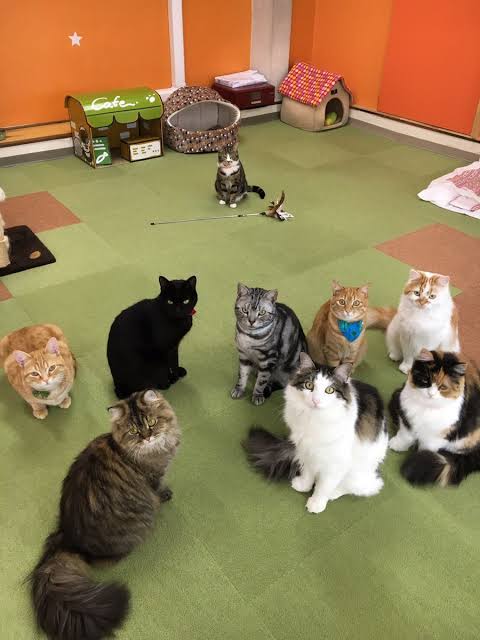 【ぼっち】っぽい画像!