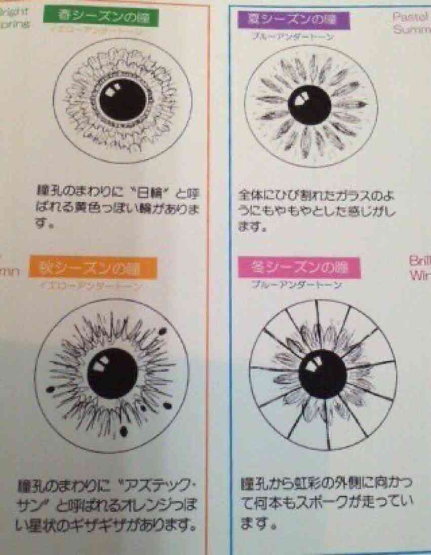 【パーソナルカラー】イエベ秋(オータム)集合〜!