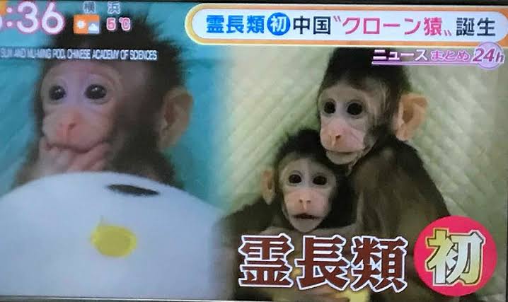 なぜ人間のクローンを作らないのか?科学者が語る本当の理由「メリットがあまり無い」