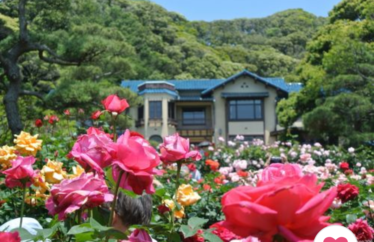 レトロ建築の魅力を語ろう！