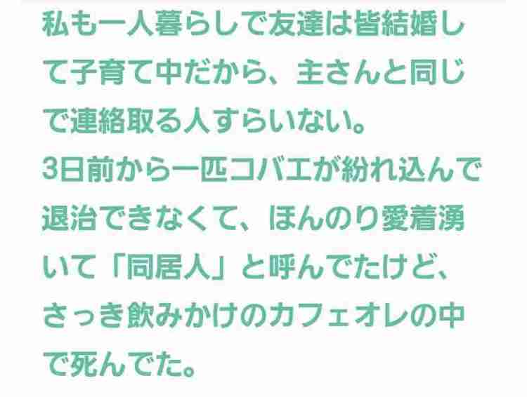 声を出して笑ったガルちゃんの投稿Part26