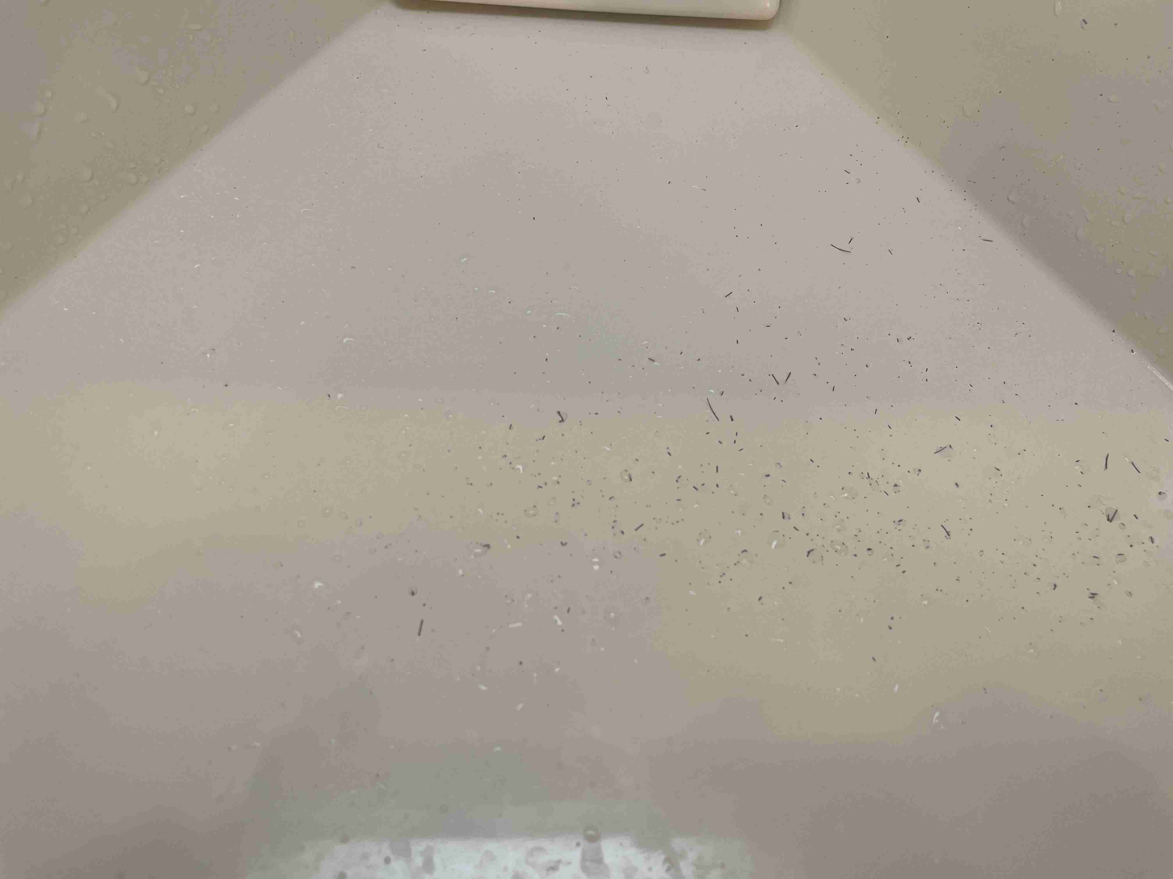 最新の夫婦喧嘩の理由を教えて